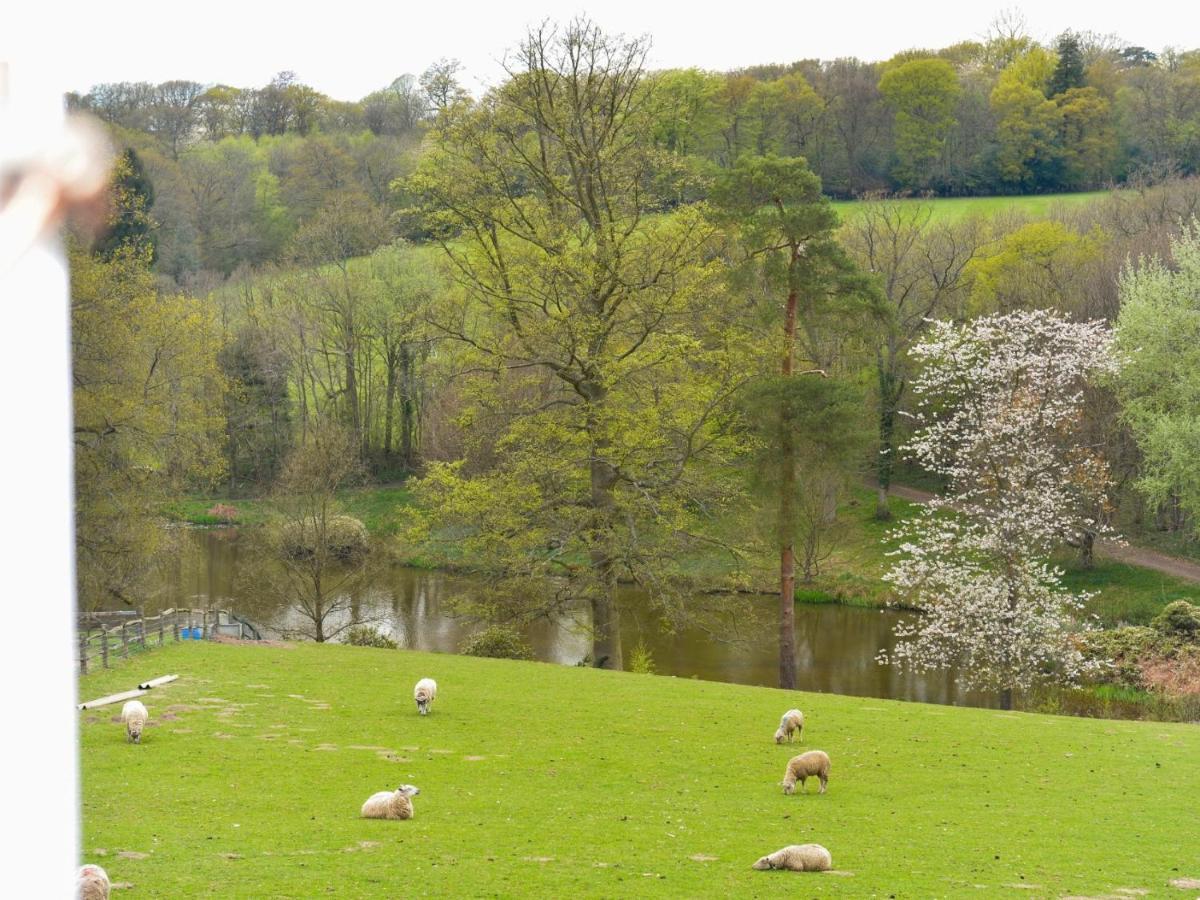 Twyford Farm B&B Haywards Heath Buitenkant foto